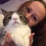 What online classifieds are best for finding Siamese kittens in Edmonton